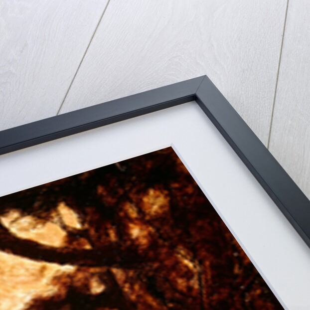 Don Quixote and Sancho Panza relieving himself, c. 1855 by Honore Daumier