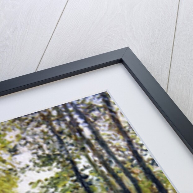 Path in a wood in Normandy by Gustave Caillebotte