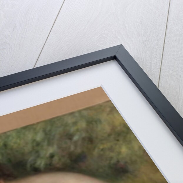 Nude, Green Background, 1902 by Pierre Auguste Renoir