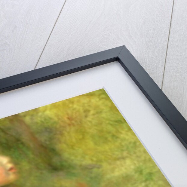 Nude in Brook, 1895 by Pierre Auguste Renoir