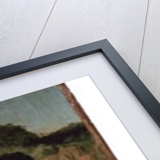 The Adoration of the Magi Triptych, c.1510 by Lucas van Leyden