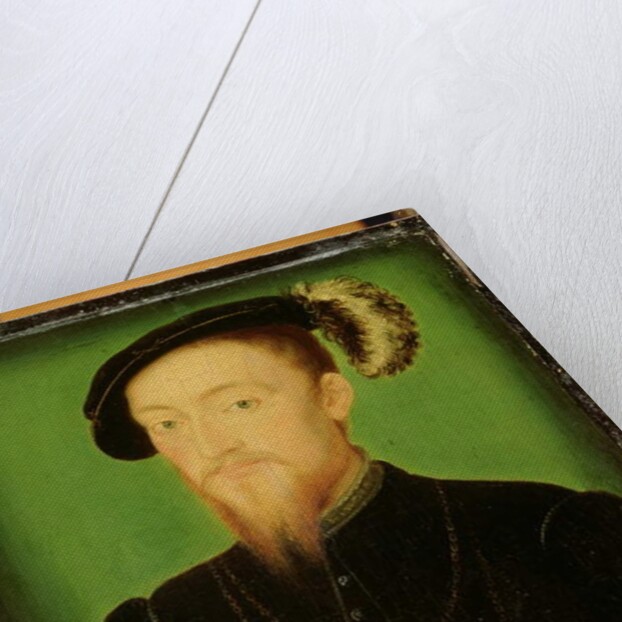 Man with a Feather in his Hat by Corneille de Lyon