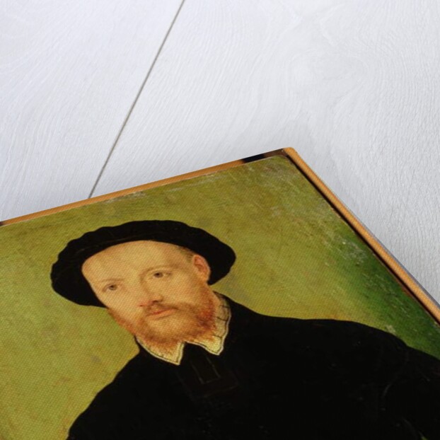 Man with a Red Beard by Corneille de Lyon