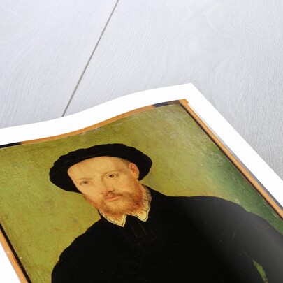 Man with a Red Beard by Corneille de Lyon