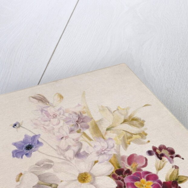 Narcissus and other Flowers, 1840 by French School