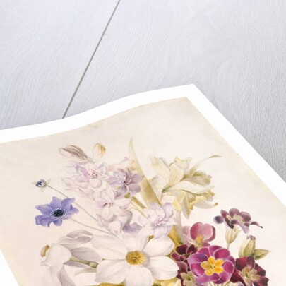 Narcissus and other Flowers, 1840 by French School