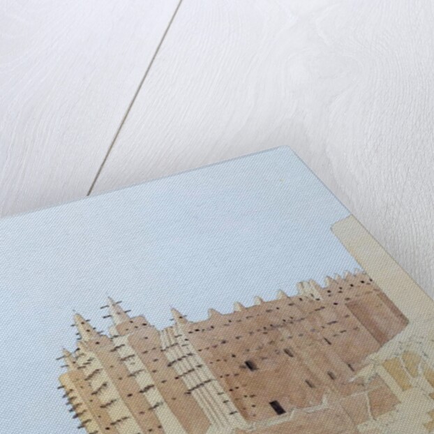 Bird by School American