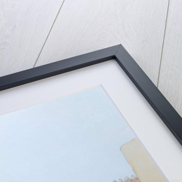 Bird by School American