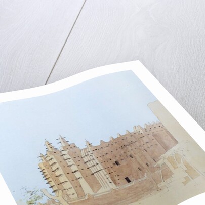 Bird by School American