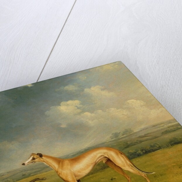 Reverend Henry Bate Dudley's Greyhound 'The Miller', 1799 by Henry Bernard Chalon
