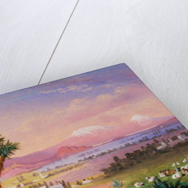 A View of Mexico City, 1878 by Conrad Wise Chapman