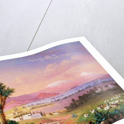 A View of Mexico City, 1878 by Conrad Wise Chapman