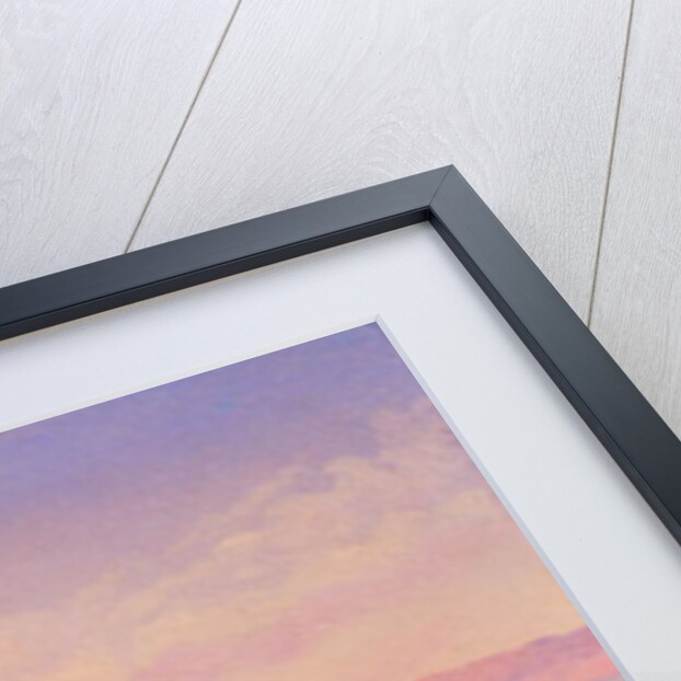 A View of Mexico City with an Encampment, 1878 by Conrad Wise Chapman