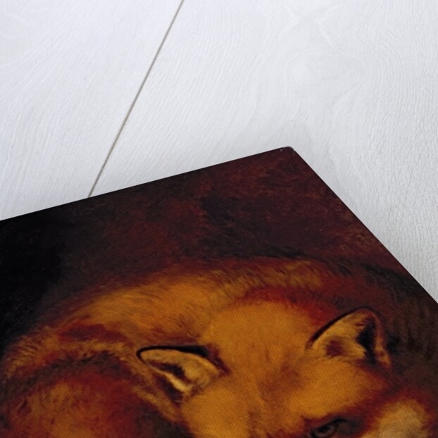 A Fox, 1817 by Abraham Cooper