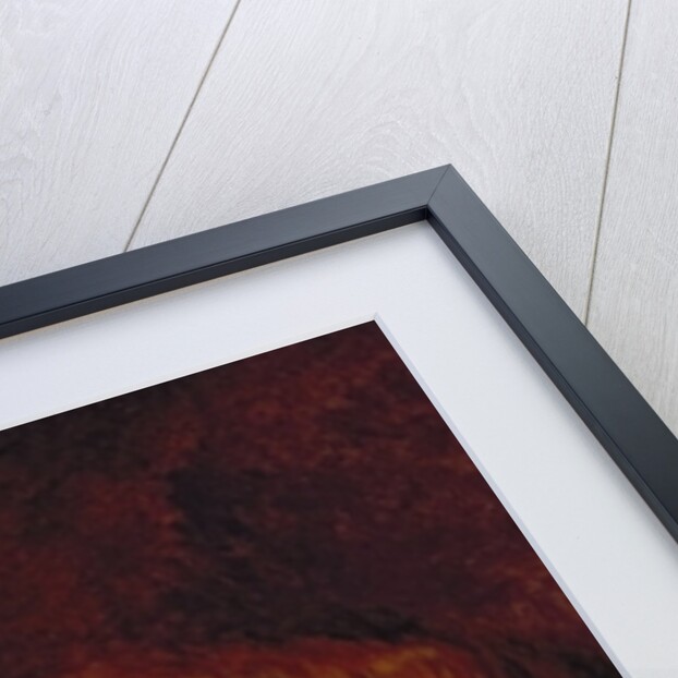 A Fox, 1817 by Abraham Cooper