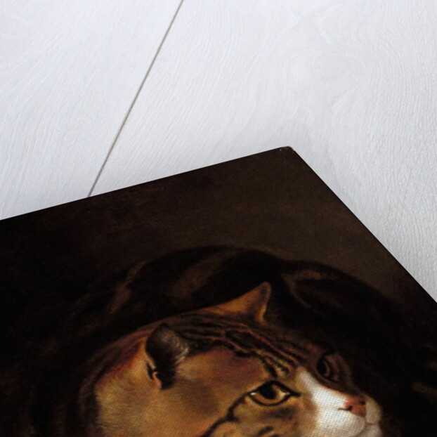 A Tabby Cat, 1817 by Abraham Cooper