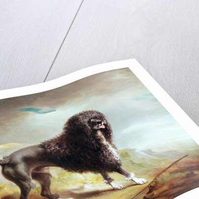 A Clipped Water Spaniel by John E. Ferneley