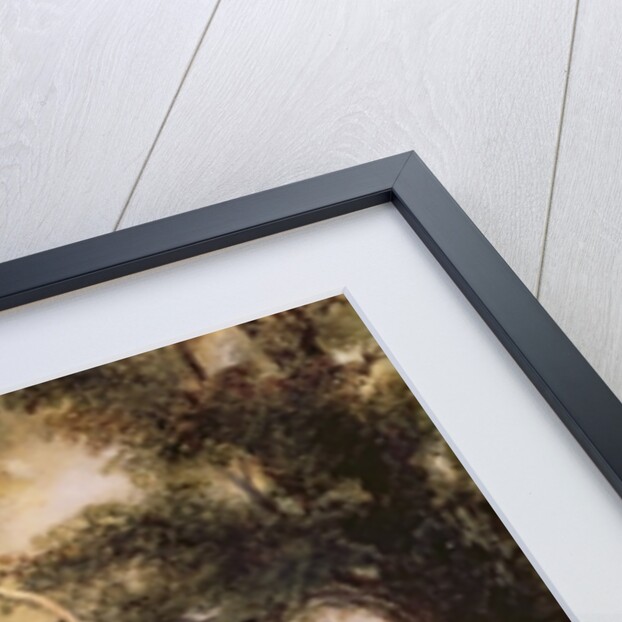 Pike Fishing, Landing a Jack, c.1839 by Newton Fielding