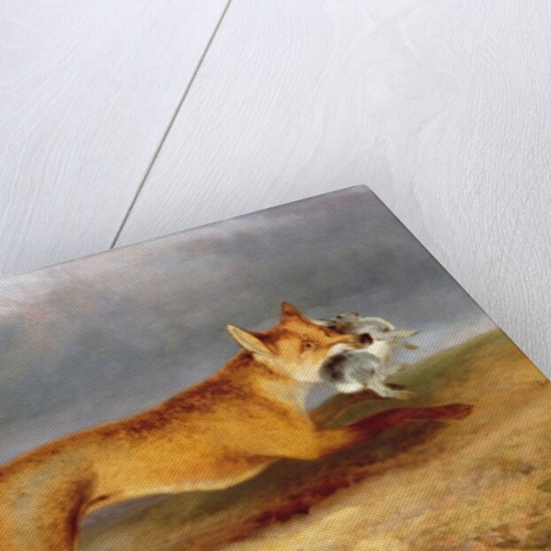 Fox making off with a Rabbit, 1841 by Charles Hancock