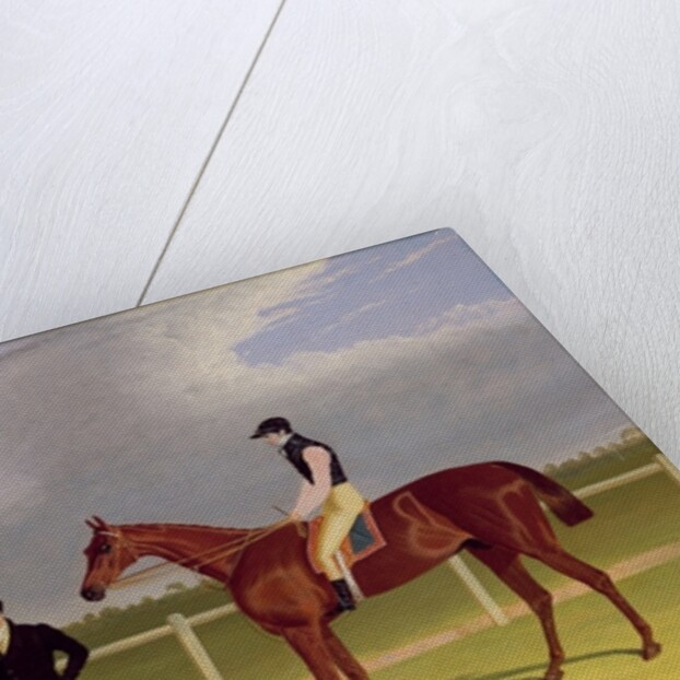 The Hon. E. Petre's 'Rowton', winner of the St. Leger with Bill Scott up, 1829 by John Frederick Herring Snr