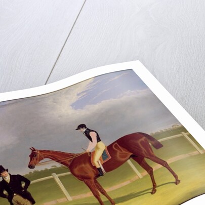 The Hon. E. Petre's 'Rowton', winner of the St. Leger with Bill Scott up, 1829 by John Frederick Herring Snr