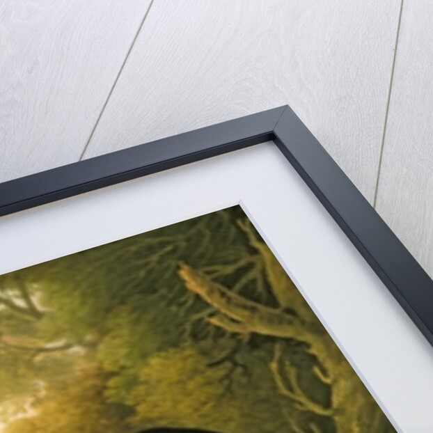 A Hobby Hawk and Prey shot at Buxton, 1812 by Robert Wilkinson Padley