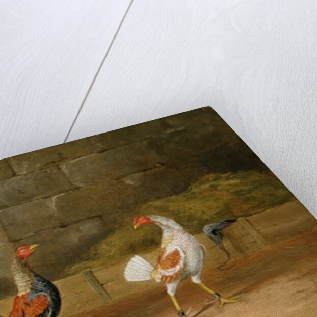 The Challenge by Hilton L. Jnr. Pratt