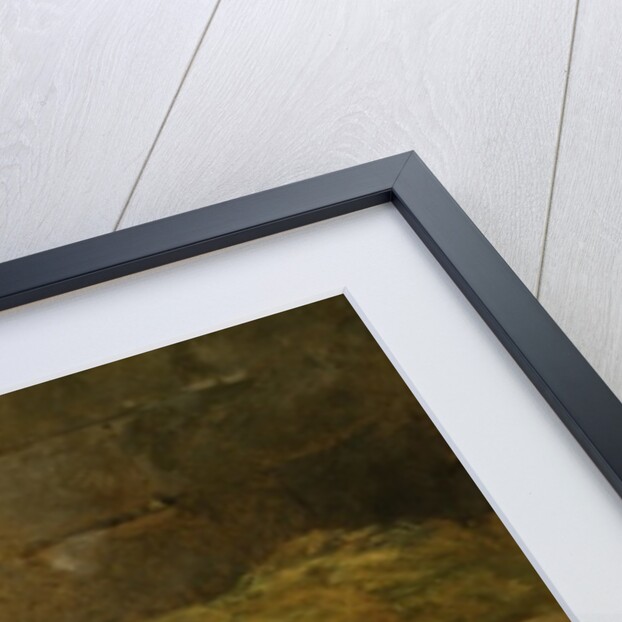 The Challenge by Hilton L. Jnr. Pratt