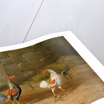 The Challenge by Hilton L. Jnr. Pratt