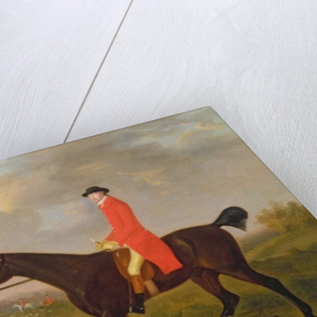 A Gentleman on his Hunter riding to Hounds, 1783 by Francis Sartorius
