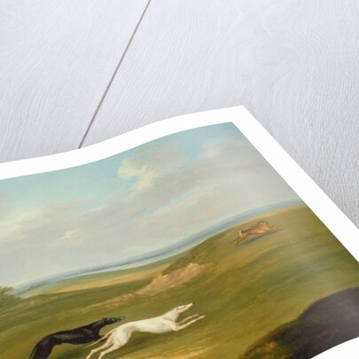 Running, a Coursing Scene, 1816 by John Nost Sartorius