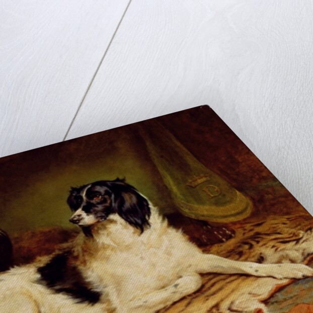 Minna, a favourite dog of James, Marquess of Dalhousie, 1857 by Gourlay Steel