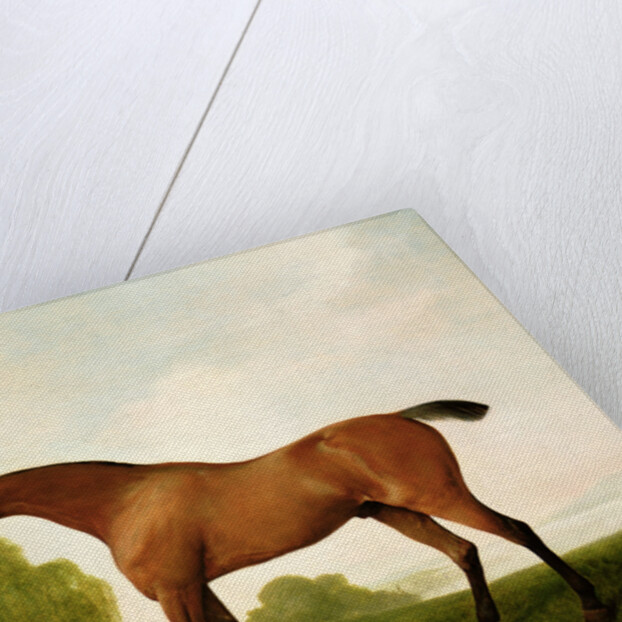 A Bay Thoroughbred in a Landscape, 1801 by George Stubbs