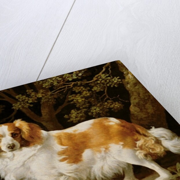 A Liver and White King Charles Spaniel in a Wooded Landscape, 1776 by George Stubbs