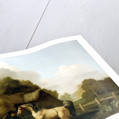 A Roan Stallion and a Bay Mare, 1769 by George Stubbs