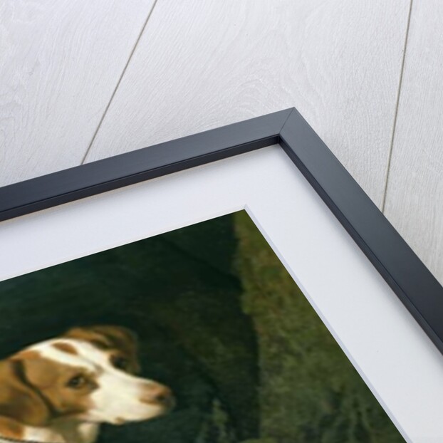 Portrait of a Hound belonging to William Pitt, 1st Earl of Chatham, 1788 by George Stubbs