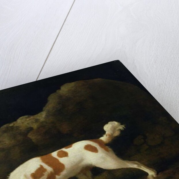 A Spaniel by George Stubbs