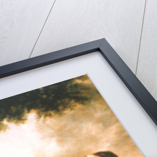 Two Shorthorn Cattle, 1806 by Thomas Harrington Wilson