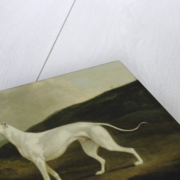A Greyhound in a Landscape, 1817 by Charles Henry Schwanfelder