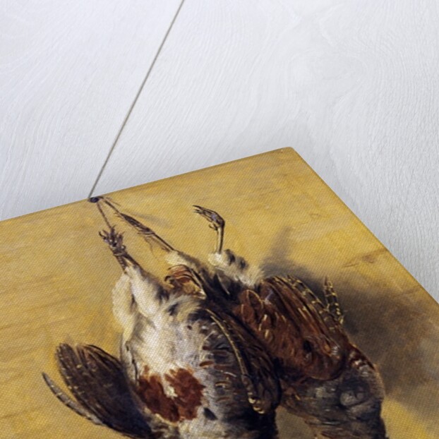 Brace of English Partridge, 1808 by J. Francis Sartorius