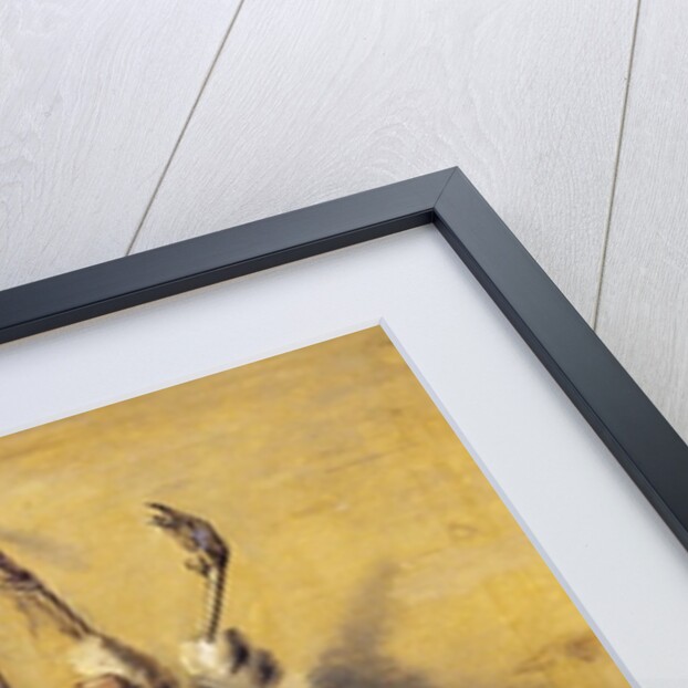 Brace of English Partridge, 1808 by J. Francis Sartorius