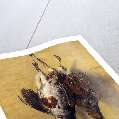 Brace of English Partridge, 1808 by J. Francis Sartorius