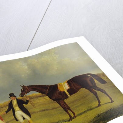 Euclid with his Jockey Conolly and Trainer Pettit by John Frederick Herring Snr