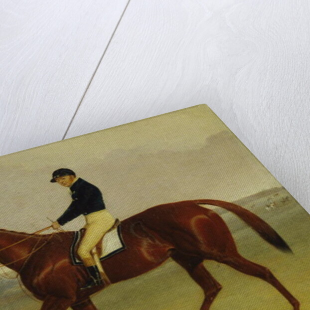 Preserve with Flatman Up at Newmarket, 1835 by John Frederick Herring Jnr