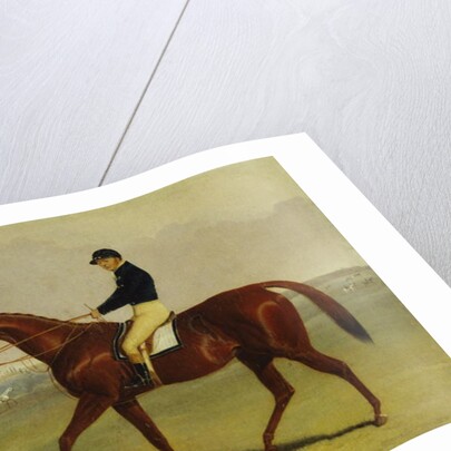 Preserve with Flatman Up at Newmarket, 1835 by John Frederick Herring Jnr