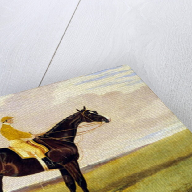 Queen of Trumps with Lye, 1836 by John Frederick Herring Jnr