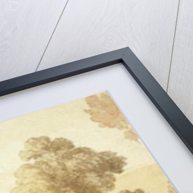 The Horse Trader, 1816 by Thomas Rowlandson