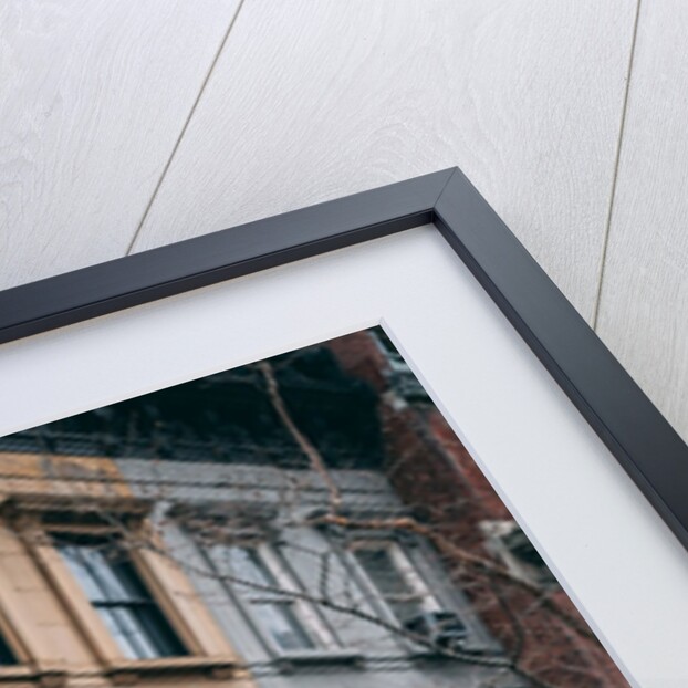 Brownstones in the Upper East Side, Manhattan, New York City, USA by Jon Bilous