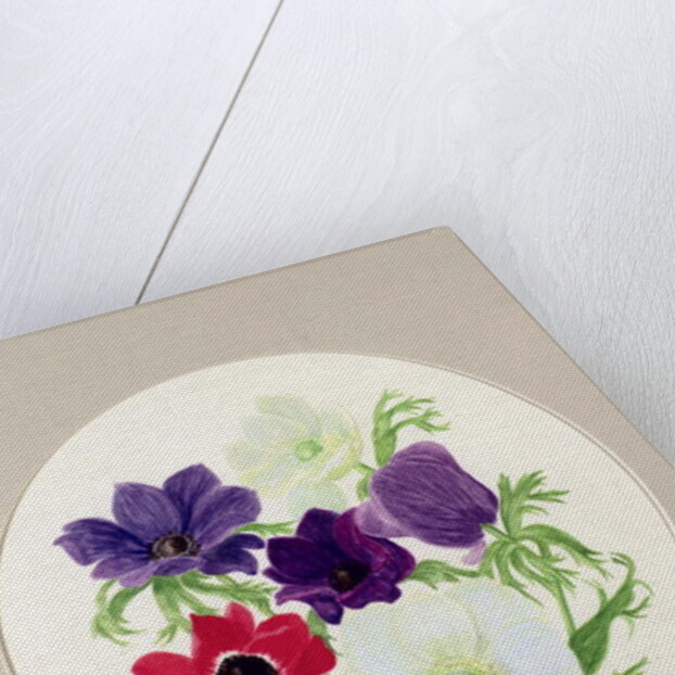Anemones by Frances Buckland