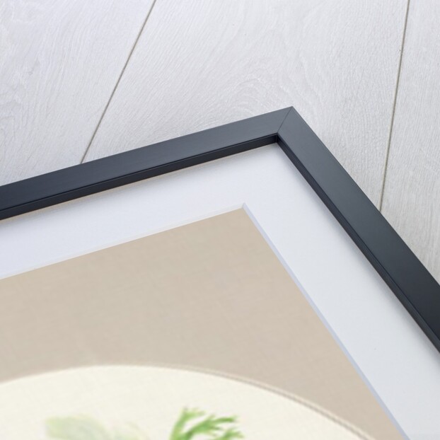 Anemones by Frances Buckland